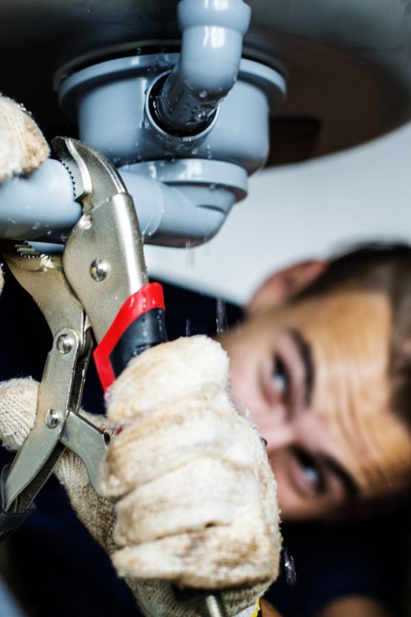 zeus-di-frunza-cristinel-VFJNDZ4_1766152973